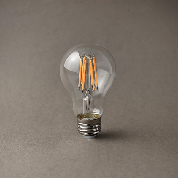 LED電球 A60 (E26/6W/クリア球/調光)