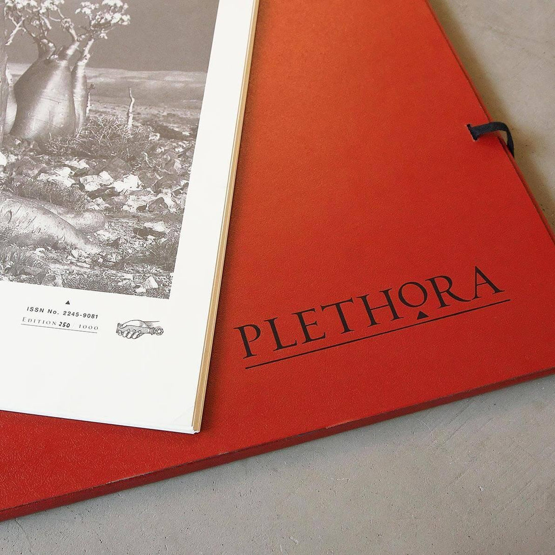 PLETHORA MAGAZINE No.3 - プレソラマガジン - TOWARDS