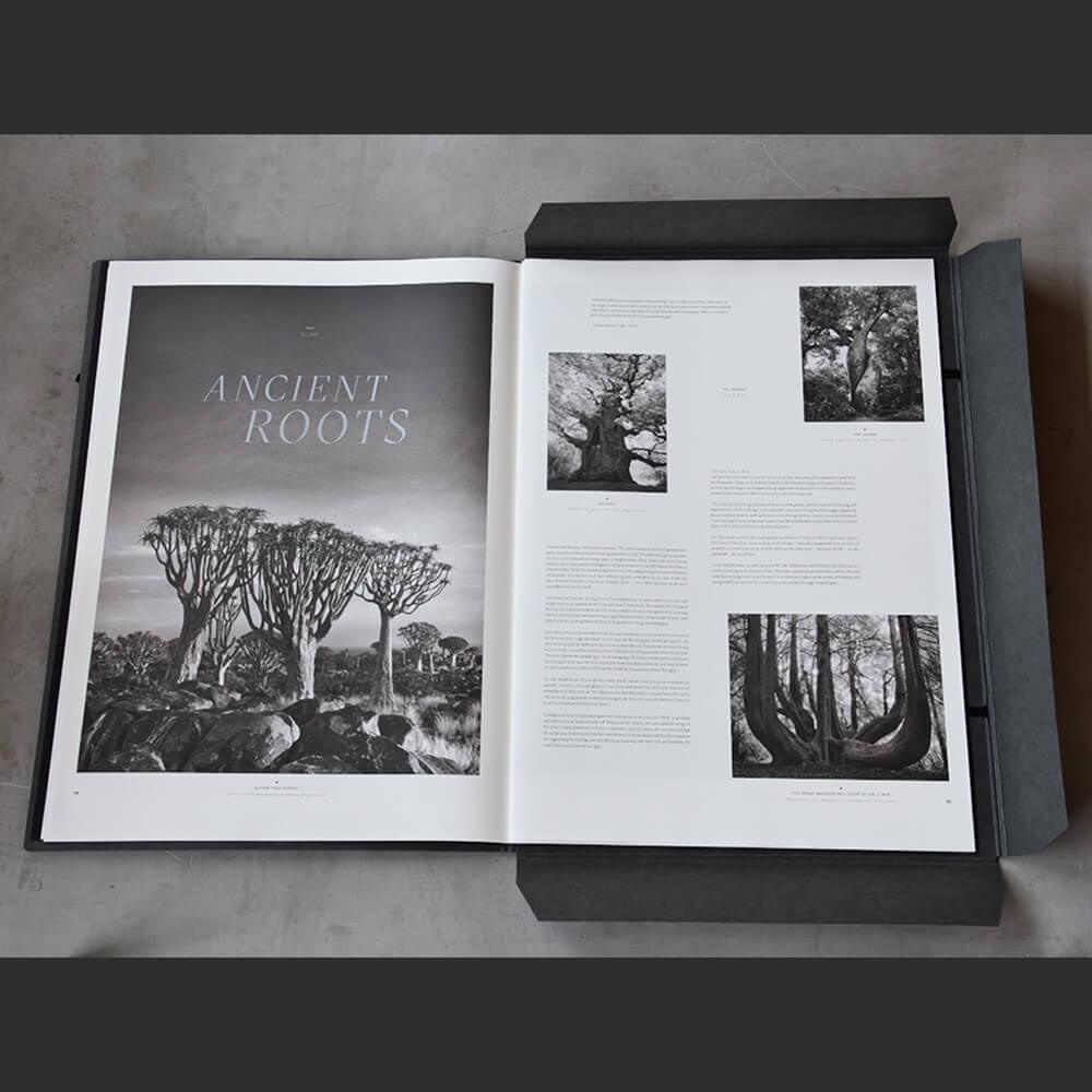 プレソラマガジンPLETHORA MAGAZINE No.8 希少性の高いアート雑誌 - プレソラマガジン｜TOWARDS (トーズ