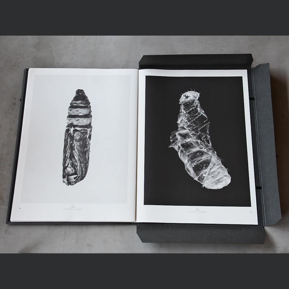 希少価値の高いアート雑誌 - プレソラマガジン No.3 – TOWARDS